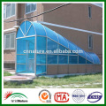 Blue polycarbonate sheet for canopy